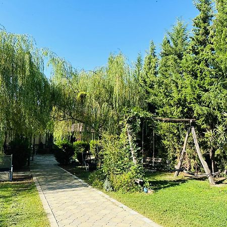 Green House Kvareli Exterior photo